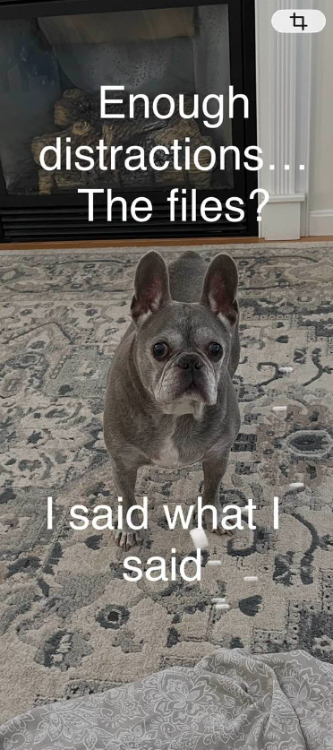 4 Enough distractions... The files? I said what I said