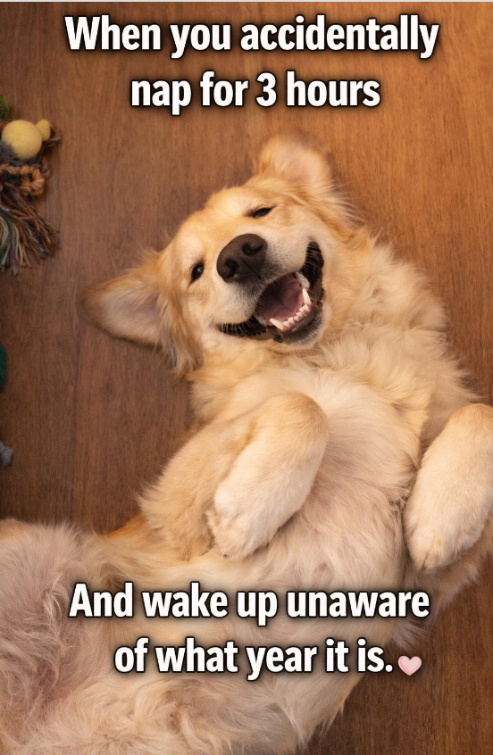 When you accidentally nap for 3 hours And wake up unaware of what year it is.