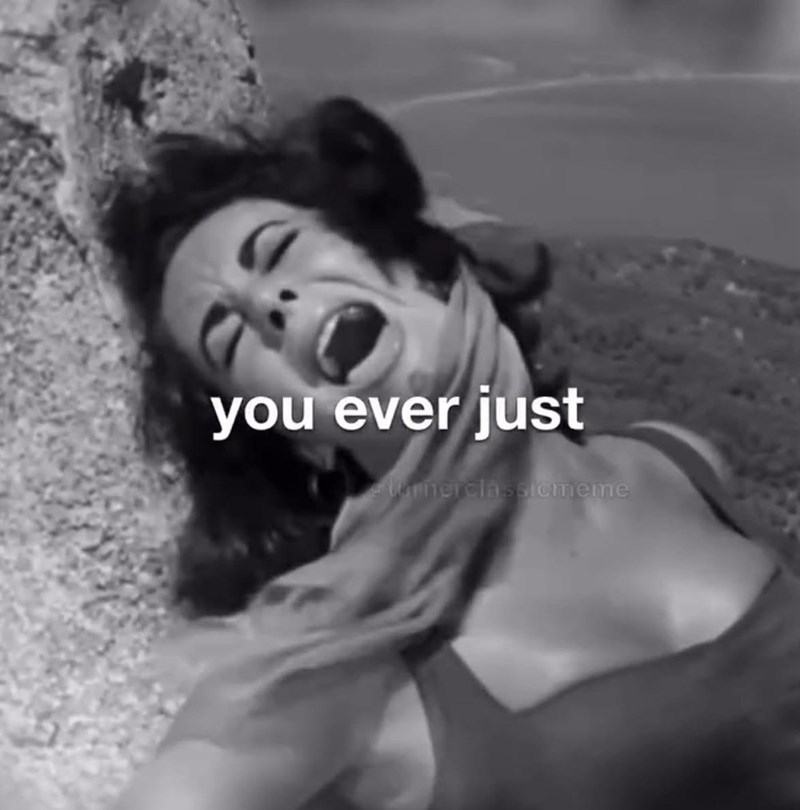 you ever just e turnerclassicmeme