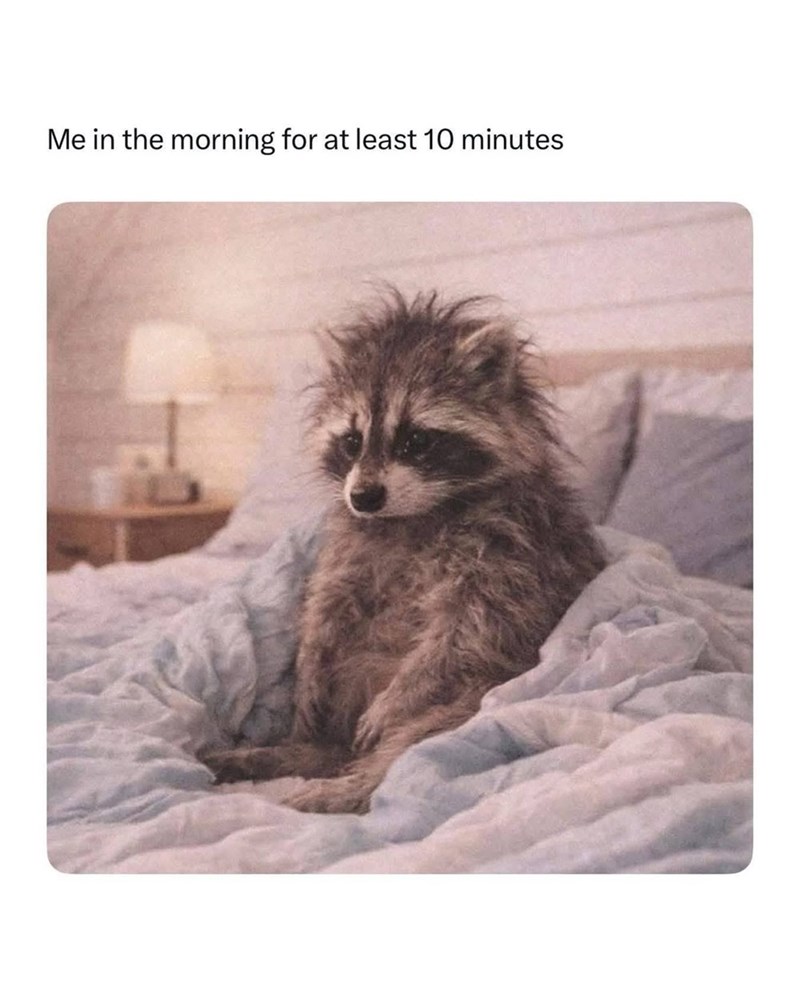 Me in the morning for at least 10 minutes