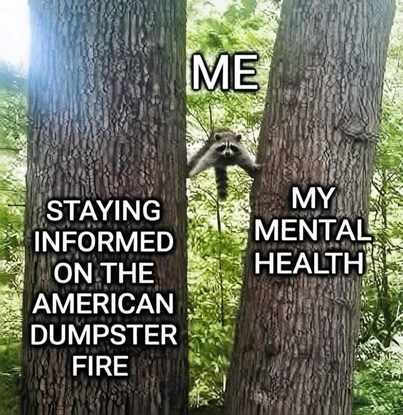 ME STAYING INFORMED ON THE AMERICAN DUMPSTER FIRE MY MENTAL HEALTH