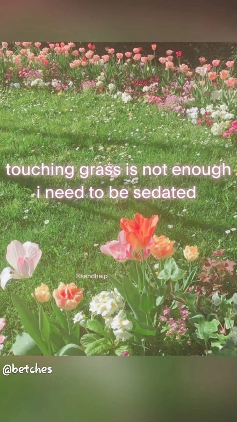 touching grass is not enough i need to be sedated @betches @sendhelp