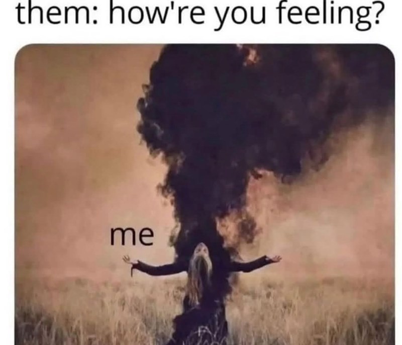 them: how're you feeling? me