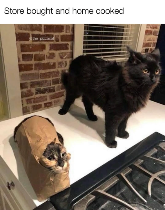 Store bought and home cooked @the_pizzacat