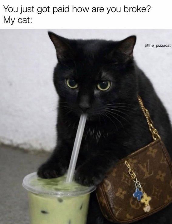 You just got paid how are you broke? My cat: @the_pizzacat