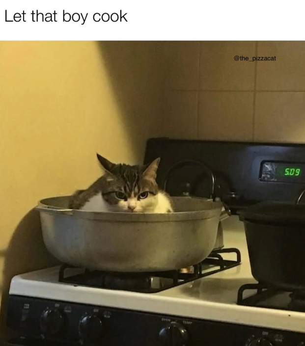 Let that boy cook OVEN @the_pizzacat 5.09