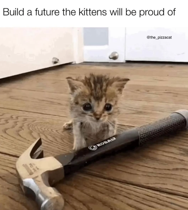 Build a future the kittens will be proud of KOBALT @the_pizzacat