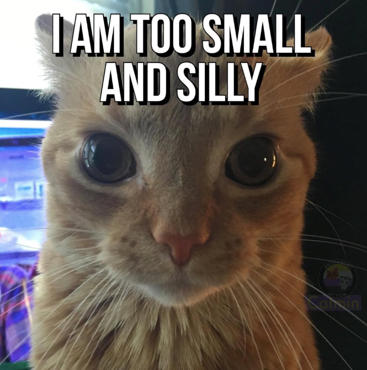 10 I AM TOO SMALL AND SILLY ACTION