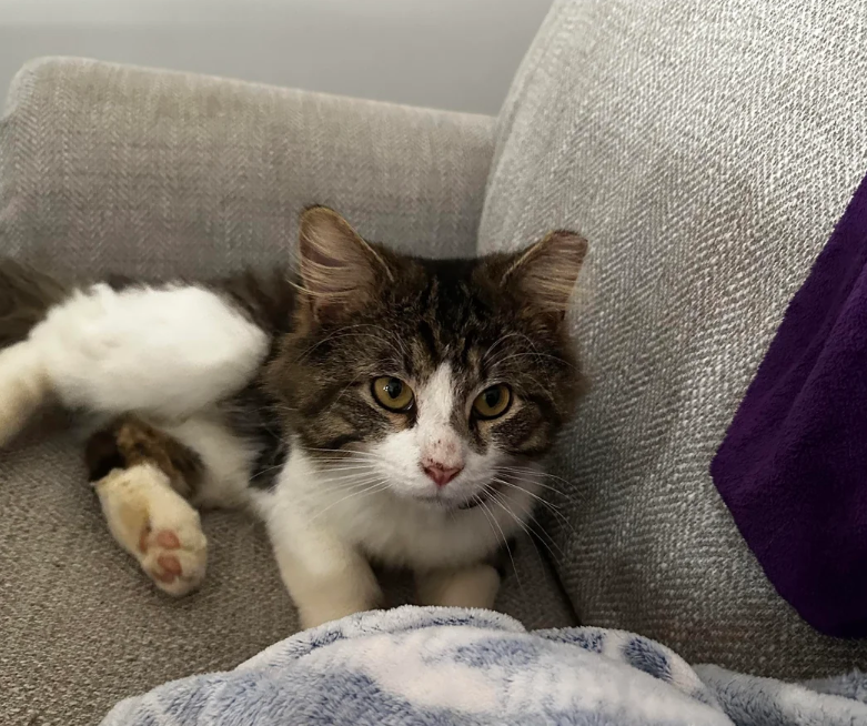 Cheezburger Image 10615796992