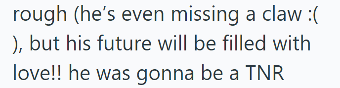 rough (he's even missing a claw :( ), but his future will be filled with love!! he was gonna be a TNR