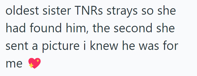 oldest sister TNRs strays so she had found him, the second she sent a picture i knew he was for me