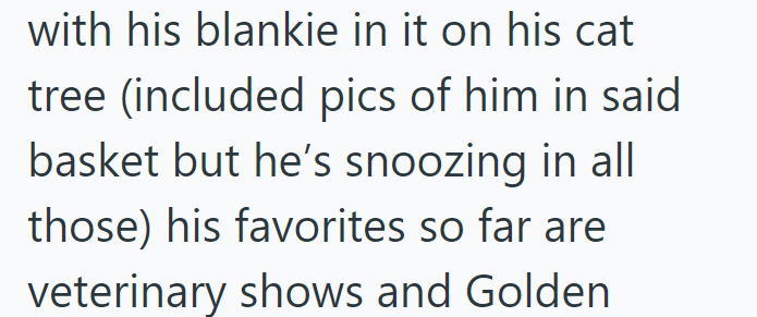 with his blankie in it on his cat tree (included pics of him in said basket but he's snoozing in all those) his favorites so far are veterinary shows and Golden