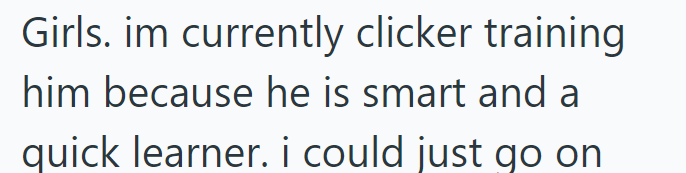 Girls. im currently clicker training him because he is smart and a quick learner. i could just go on