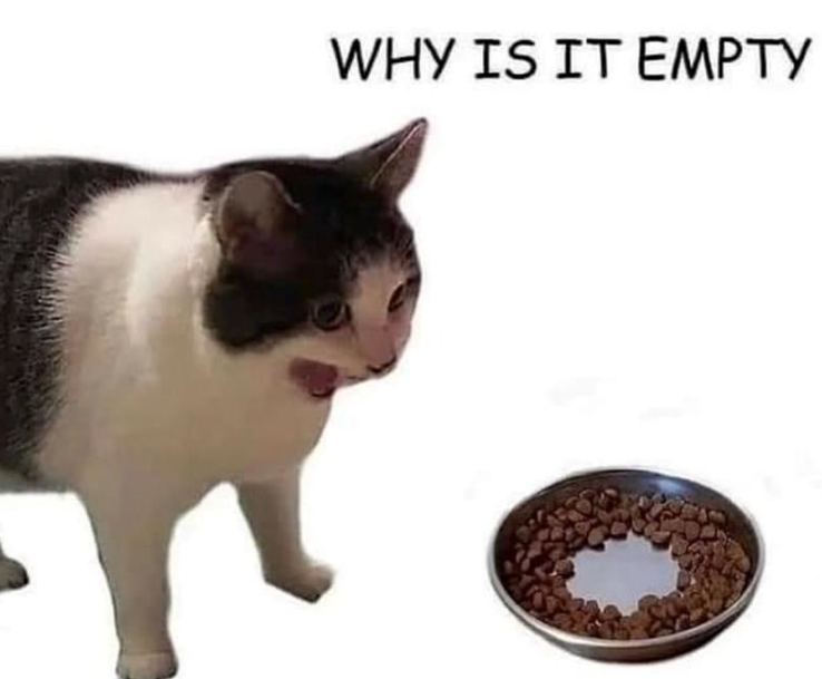WHY IS IT EMPTY