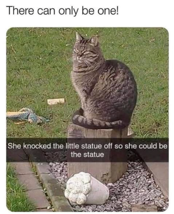 There can only be one! She knocked the little statue off so she could be the statue