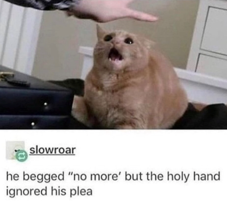 slowroar he begged "no more' but the holy hand. ignored his plea