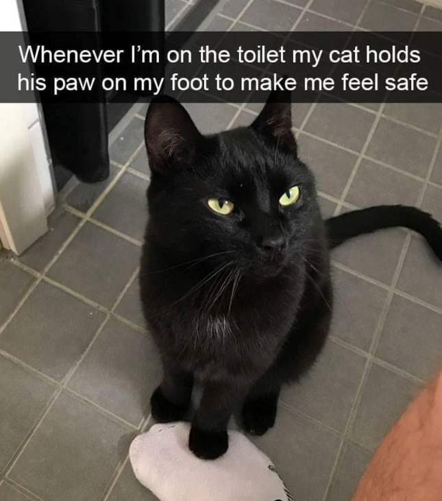 Whenever I'm on the toilet my cat holds his paw on my foot to make me feel safe