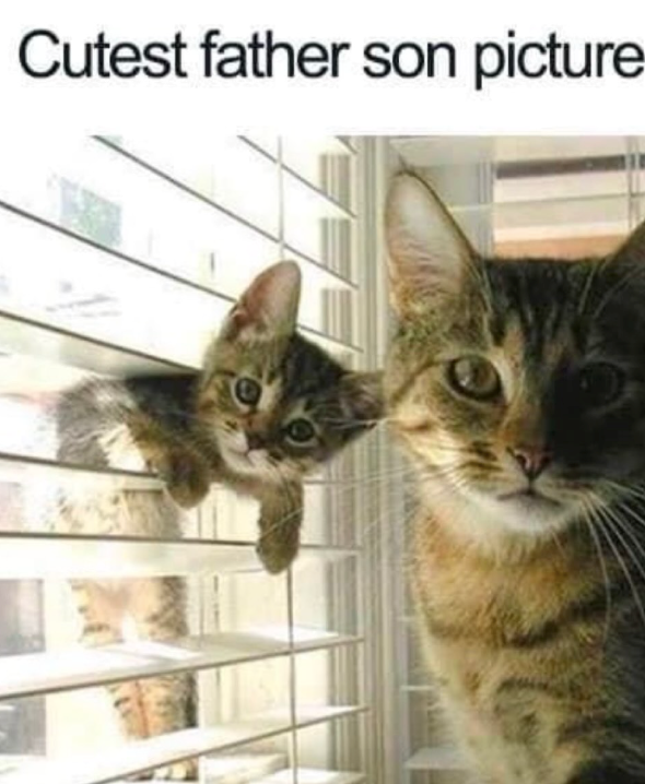 Cutest father son picture