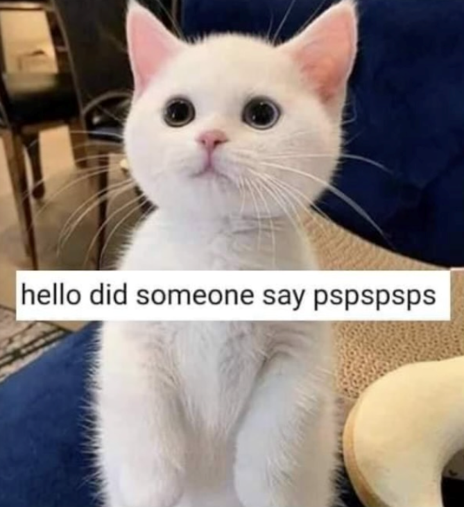 hello did someone say pspspsps