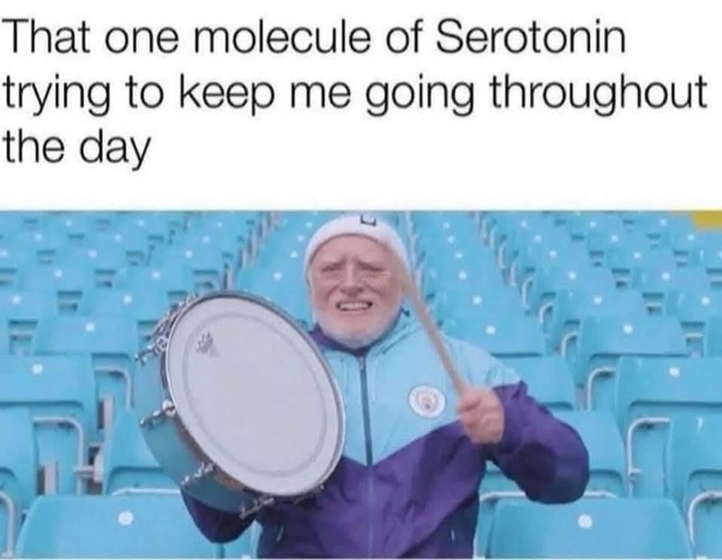 That one molecule of Serotonin trying to keep me going throughout the day Π