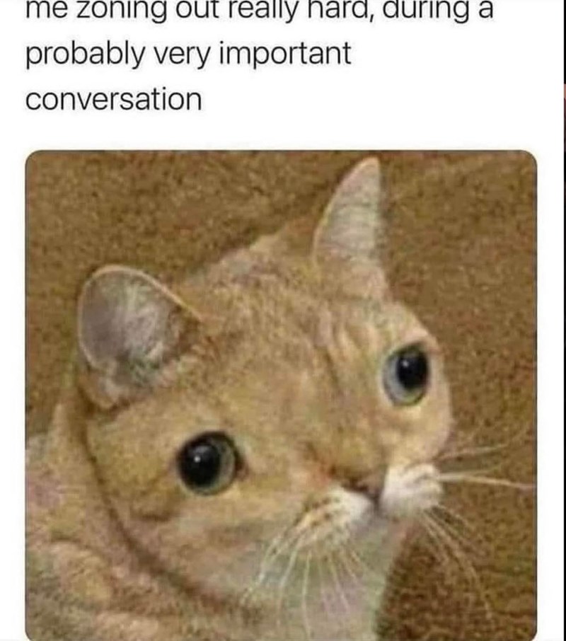 me zoning out really hard, during a probably very important conversation
