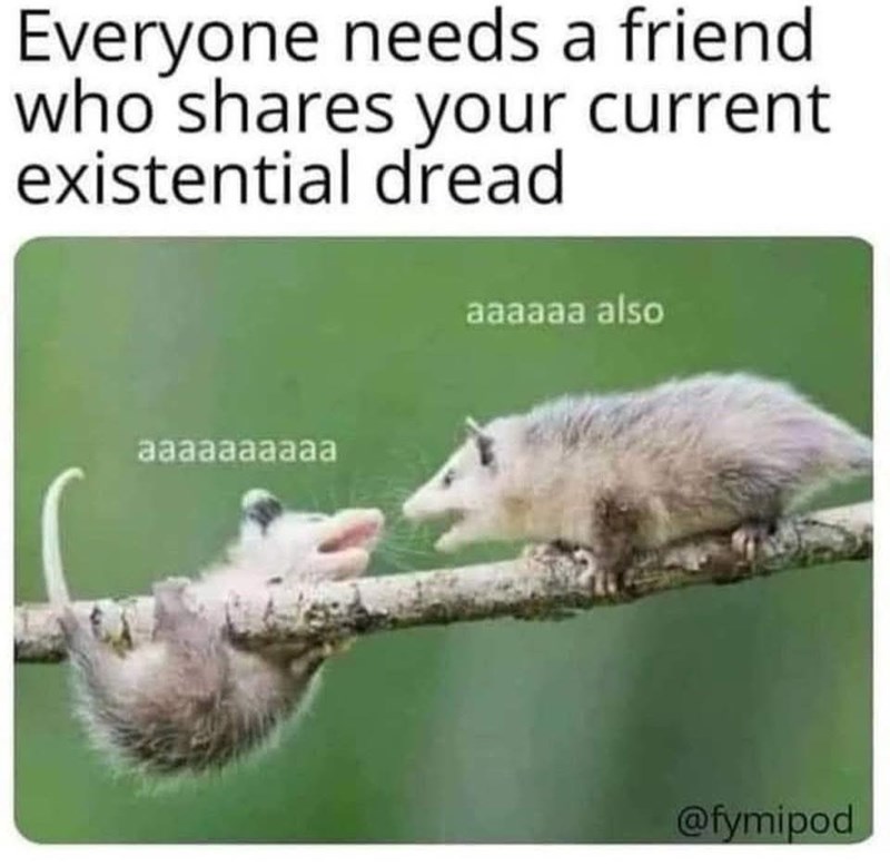 Everyone needs a friend who shares your current existential dread aaaaaaaaaa aaaaaa also @fymipod