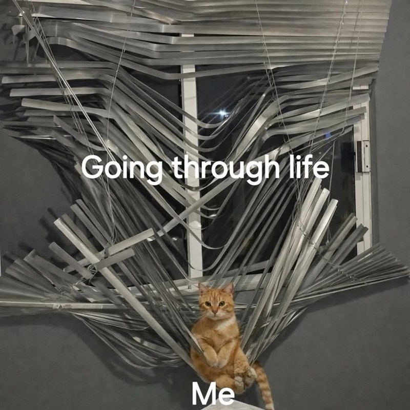 Going through life Me