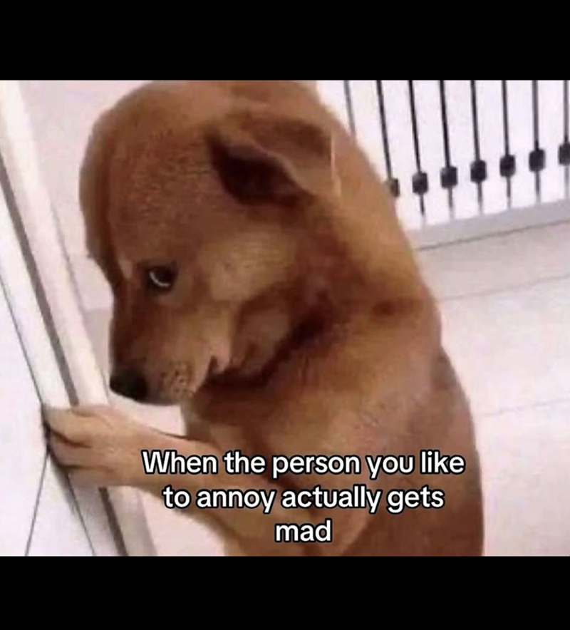 When the person you like to annoy actually gets mad