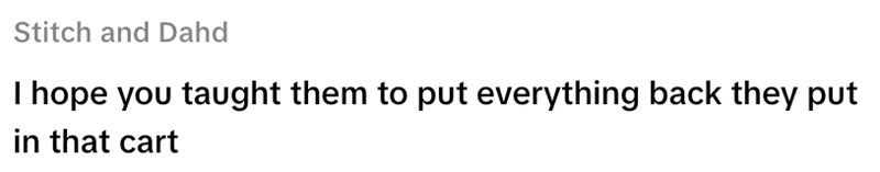 Stitch and Dahd I hope you taught them to put everything back they put in that cart