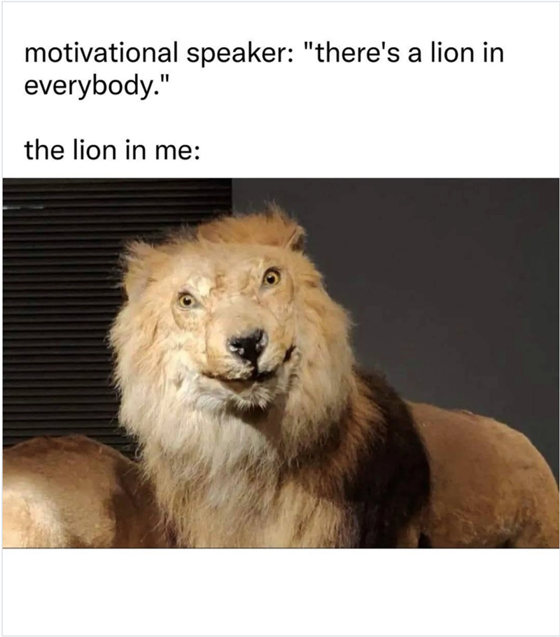 motivational speaker: "there's a lion in everybody." the lion in me: