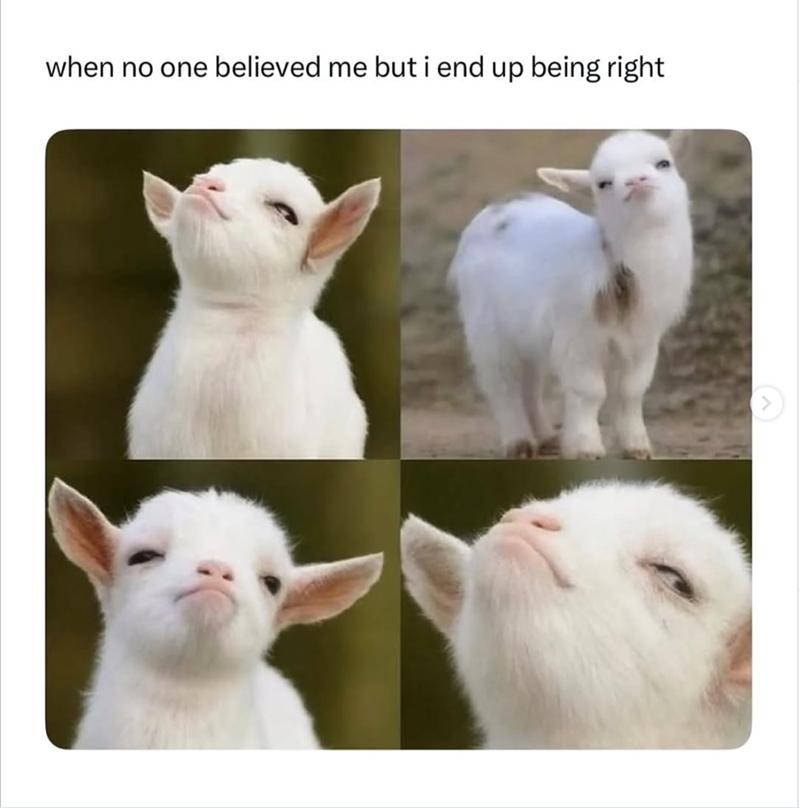 when no one believed me but i end up being right