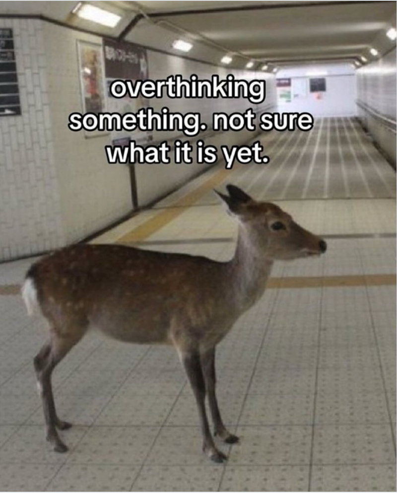 overthinking something. not sure what it is yet.