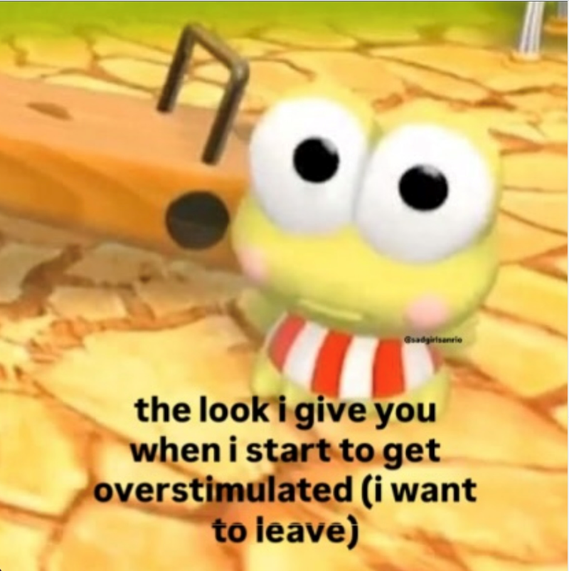 Gadgirlsanrio the look i give you when i start to get overstimulated (i want to leave)