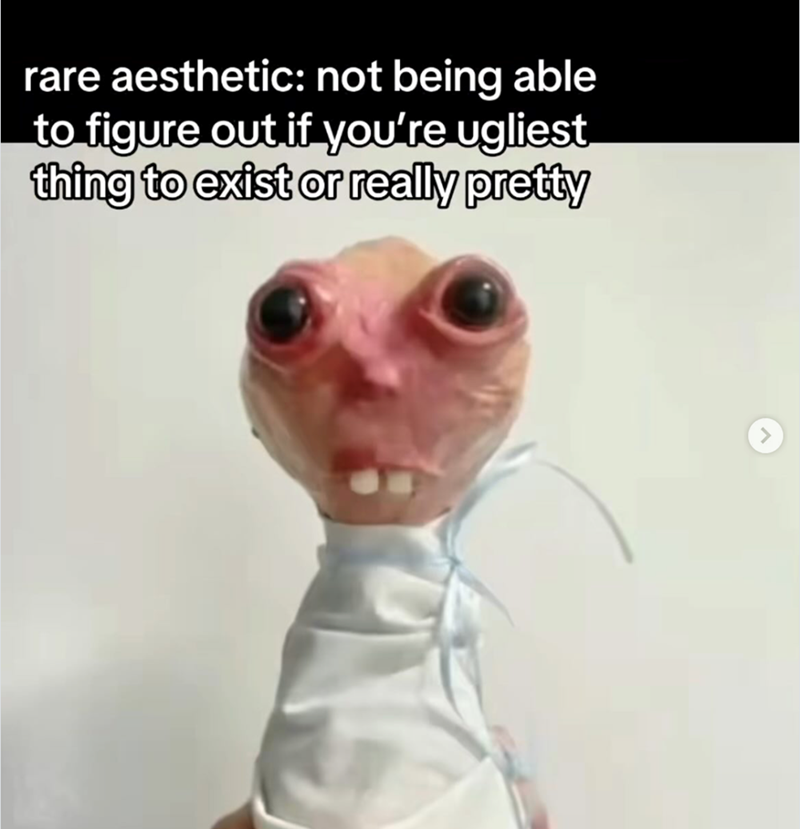 rare aesthetic: not being able to figure out if you're ugliest thing to exist or really pretty
