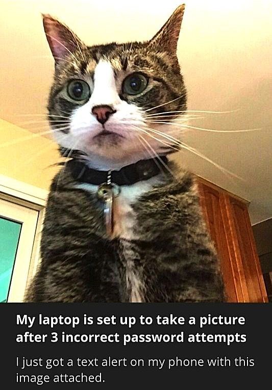 My laptop is set up to take a picture after 3 incorrect password attempts I just got a text alert on my phone with this image attached.