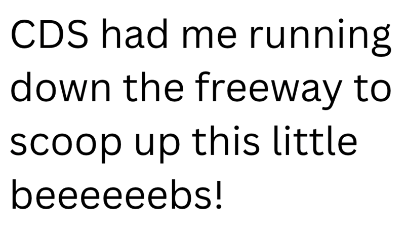 CDS had me running down the freeway to scoop up this little beeeeeebs!