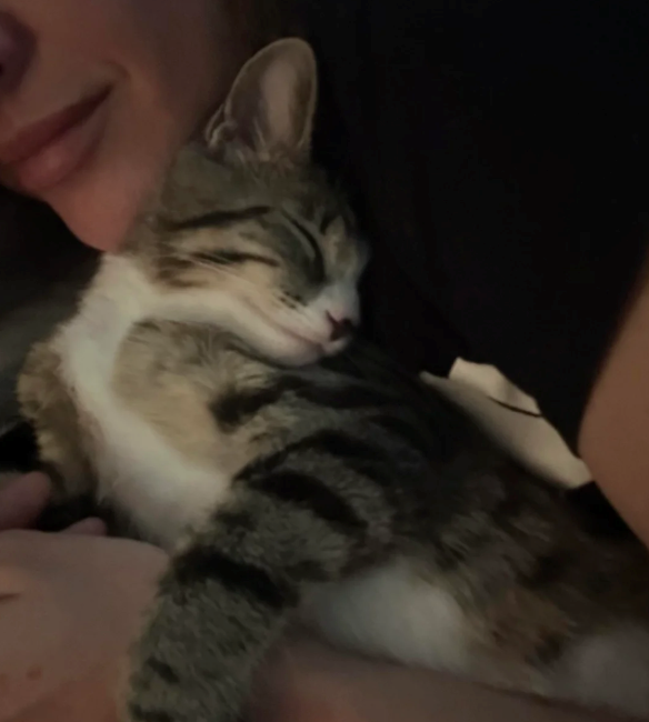 Cheezburger Image 10615887360