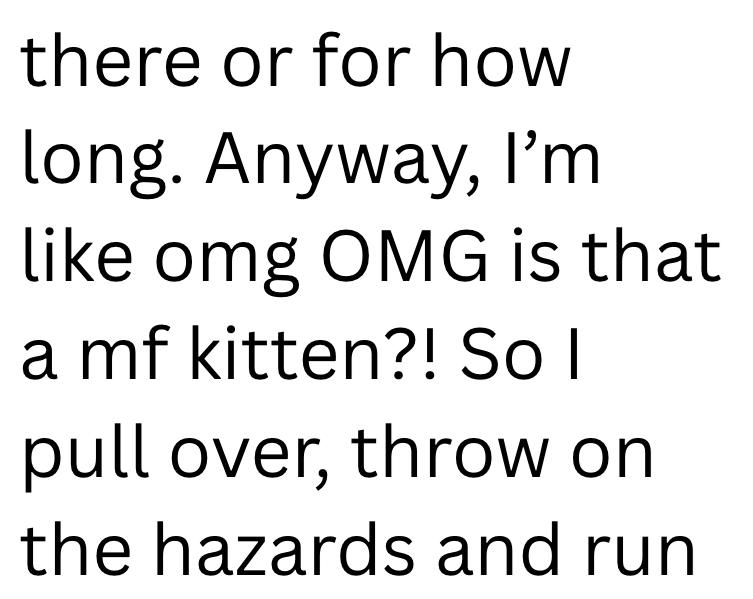 there or for how long. Anyway, I'm like omg OMG is that a mf kitten?! So I pull over, throw on the hazards and run