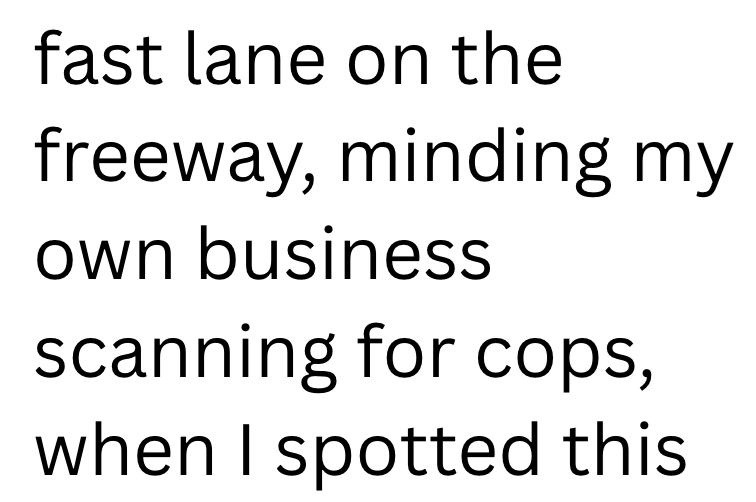 fast lane on the freeway, minding my own business scanning for cops, when I spotted this