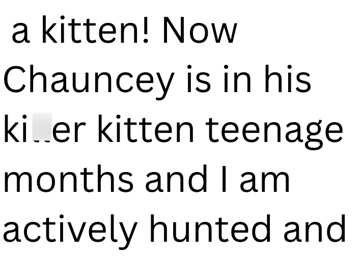a kitten! Now Chauncey is in his ki….er kitten teenage months and I am actively hunted and