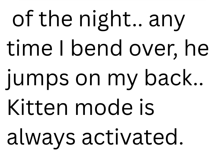 of the night.. any time I bend over, he jumps on my back.. Kitten mode is always activated.
