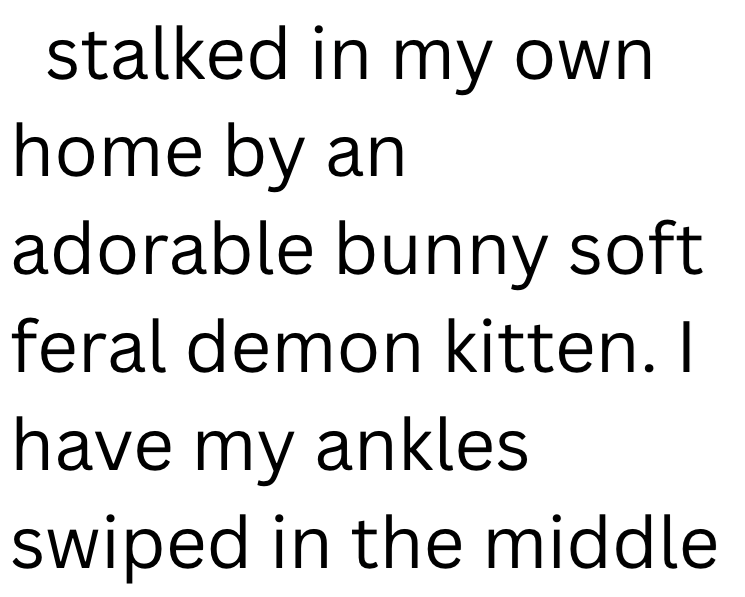 stalked in my own home by an adorable bunny soft feral demon kitten. I have my ankles swiped in the middle