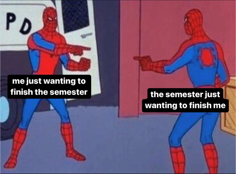 PD me just wanting to finish the semester the semester just wanting to finish me