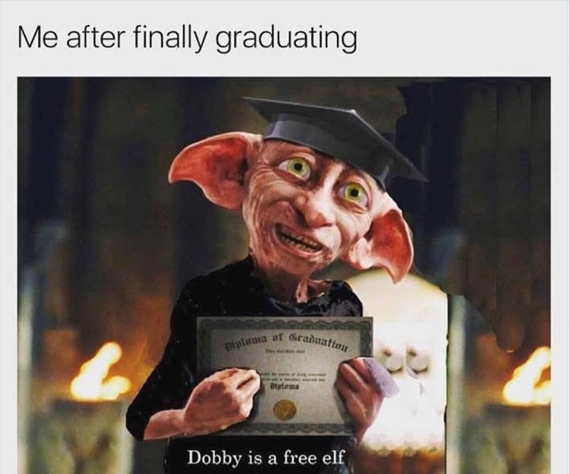 Me after finally graduating Biploma of Graduation Otylema Dobby is a free elf