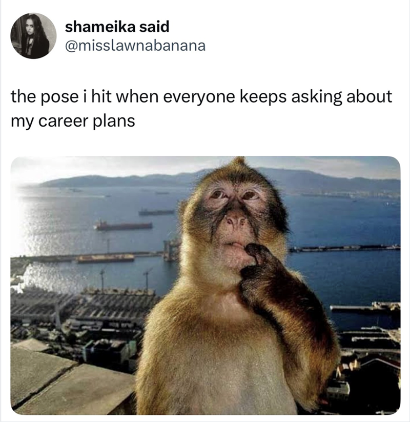 shameika said @misslawnabanana the pose i hit when everyone keeps asking about my career plans