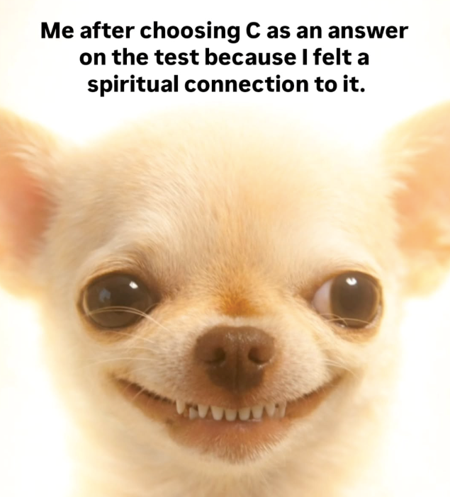Me after choosing C as an answer on the test because I felt a spiritual connection to it.
