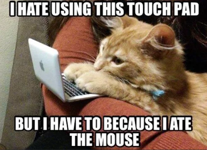 OHATE USING THIS TOUCH PAD BUT I HAVE TO BECAUSE I ATE THE MOUSE