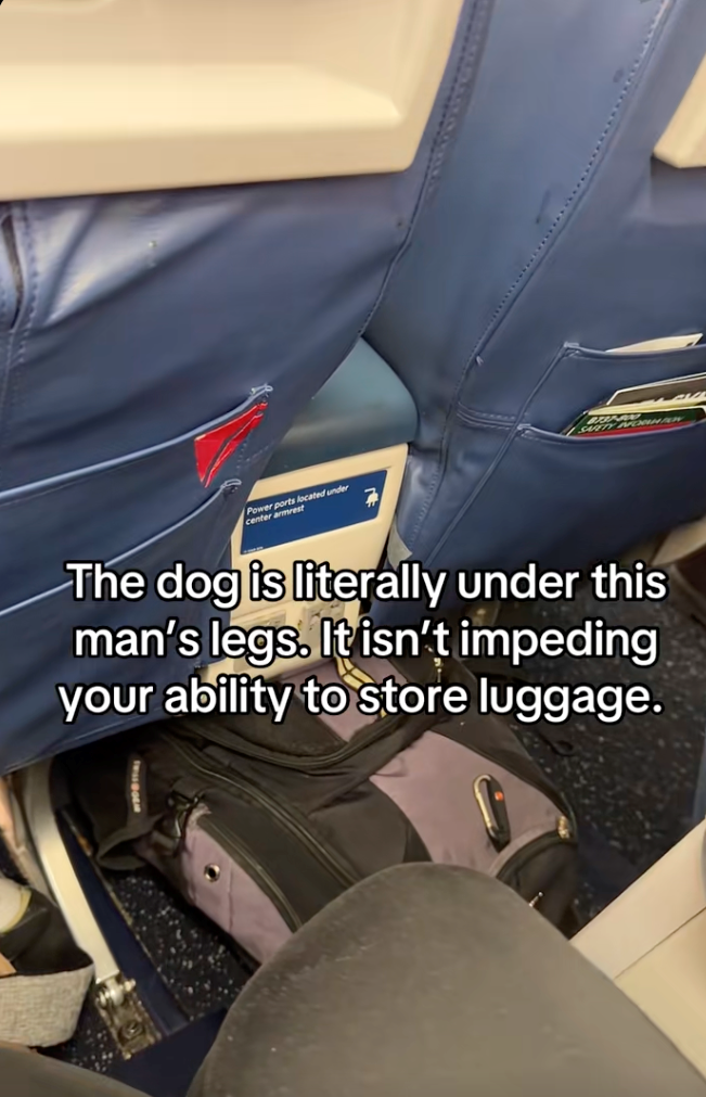 Influencer comes to the aid of a blind man and his service dog on a flight after getting harassed by a family with an untrained dog, helps him go viral: ‘Literally, the coolest guy ever!’