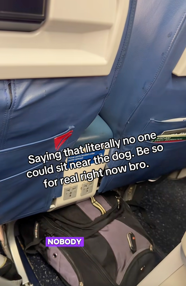 Influencer comes to the aid of a blind man and his service dog on a flight after getting harassed by a family with an untrained dog, helps him go viral: ‘Literally, the coolest guy ever!’