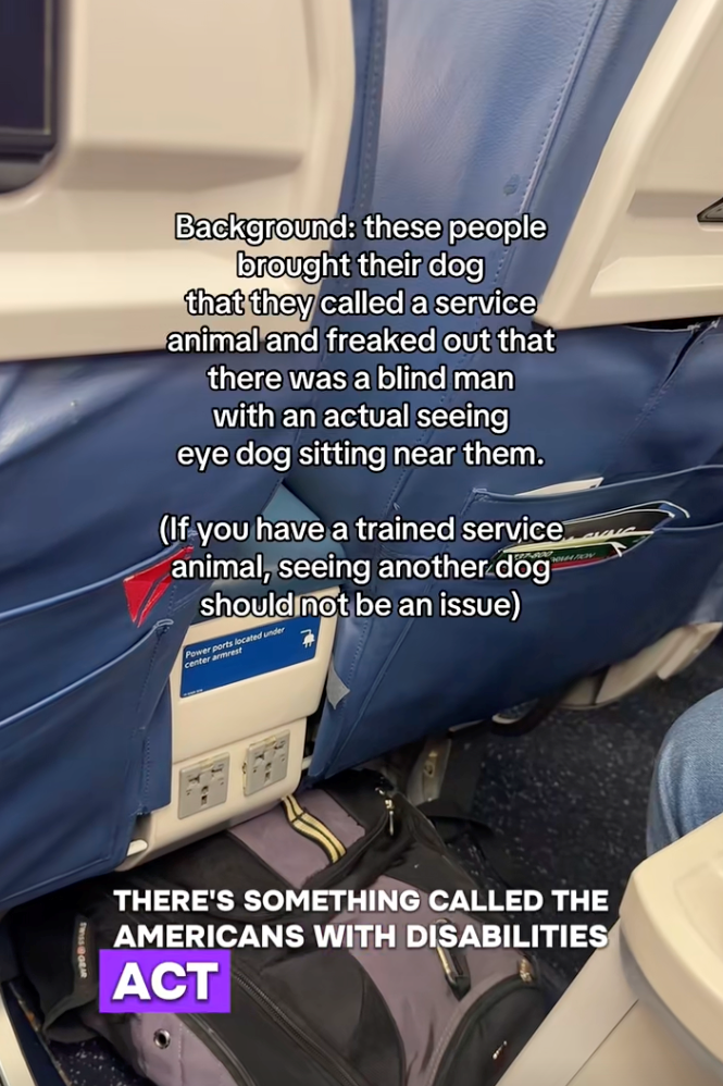 Influencer comes to the aid of a blind man and his service dog on a flight after getting harassed by a family with an untrained dog, helps him go viral: ‘Literally, the coolest guy ever!’